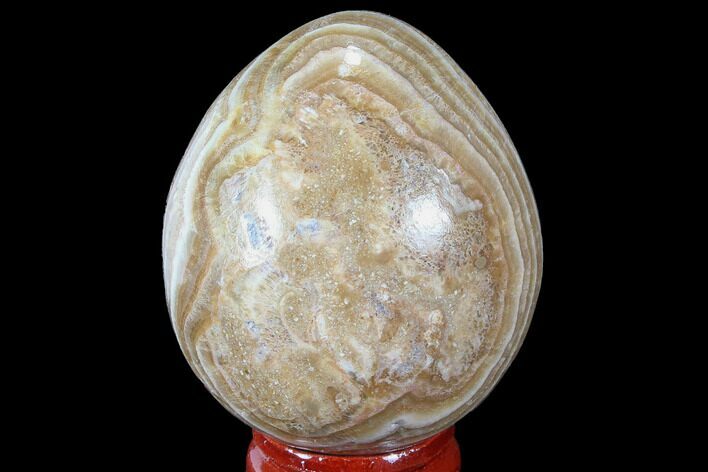 Polished, Banded Aragonite Egg - Morocco #98425